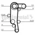 Комплект ГРМ (ремінь + ролик + водяний насос) SEAT LEON, TOLEDO II VW BORA, BORA I, GOLF IV, LUPO I, POLO III 1.4 04.96-06.06 Contitech (CT957WP4) зображення 2