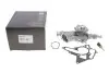 Водяна помпа Contitech (WPS3008) изображение 1