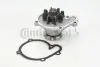 Насос охолоджуючої рідини, з ущільненням NISSAN MICRA II 1.0/1.3/1.4 08.92-02.03 Contitech (WPS3047) зображення 1