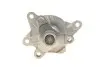 Фото Помпа води Renault Trafic/Scenic/Megane/Opel Vivaro/Nissan Qashqai/X-Trail/MB Vito (W447) 1.6D 11- Contitech (WPS3154) изображение 5