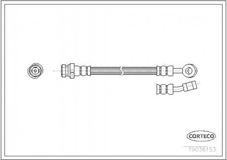 Тормозной шланг CORTECO 19036153 (фото 1)