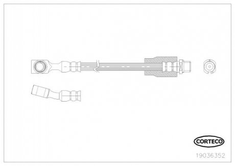 Тормозной шланг - (5562245) CORTECO 19036352 (фото 1)