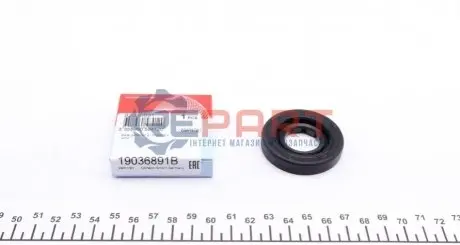 Прокладка коробки передач (22x48x8) FORD C-MAX, ESCORT VI, FIESTA, FIESTA IV, FIESTA V, FIESTA VI, FOCUS C-MAX, FOCUS I, FOCUS II, FUSION, KA, MONDEO IV, PUMA, STREET KA 1.25-2.0 01.95-01.18 CORTECO 19036891B Купити в Україні