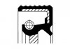 Кільце ущільнювача, колінчастий вал, Кільце ущільнювача, розподільний вал 20018317B