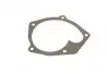 Фото Комплект прокладок (повний) Renault Kangoo 1.9 dCi 97- (без прокладки ГБЦ) CORTECO (430659P) зображення 11