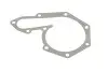 Фото Комплект прокладок (повний) Renault Kangoo 1.9 dCi 97- (без прокладки ГБЦ) CORTECO (430659P) зображення 5