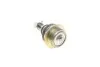 Фото Опора кульова (передня/знизу) Citroen Berlingo/Peugeot Partner 1.4-2.0HDi 08 CORTECO (49395236) зображення 3