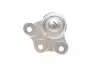 Опора кульова (передня/знизу) Opel Astra G 98-09/Astra H 04-14/Omega B/Vectra B 94-03/Zafira A/B 99 CORTECO (49395238) зображення 4