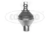 Опора шаровая (передняя/снизу) Citroen C5 01-/Xantia 93-03/Peugeot 405 92-96/406 95-04/607 00-11 CORTECO (49395901) изображение 1