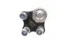 Опора кульова (передня/знизу/R) Renault Kangoo/MB Citan (W415) 1.2-1.6 08 CORTECO (49395980) зображення 2