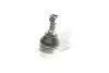 Опора кульова (передня/знизу) Ford C-Max 07-10/Focus 04-12/Volvo C30/C70/S40/V50 04-13 (d=18mm) CORTECO (49398451) зображення 3