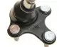 Фото Опора кульова (передня/знизу/R) Audi A3/Seat/Skoda Octavia/SuperB/VW Caddy/Golf/Touran/Tiguan 03 CORTECO (49398495) зображення 3