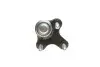 Фото Опора кульова (передня/знизу/R) Audi A3/Seat/Skoda Octavia/SuperB/VW Caddy/Golf/Touran/Tiguan 03 CORTECO (49398495) зображення 4