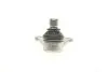 Опора кульова (передня/знизу) Citroen Berlingo/Xsara/Peugeot Partner 96-08 (d=18mm) CORTECO (49398691) зображення 3