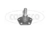 Наконечник рулевой тяги LDV 05-09 MAXSUS - CORTECO (49399032) изображение 1