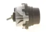 Подушка двигуна BMW 3 (F30/F80/F34/F31)/4 (F36/F33/F83)/X3 (F25) 3.0D N57 11 CORTECO (80001809) зображення 4