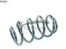 Фото Пружина передня Nissan Qashqai 06 CS Germany (14.876.507) зображення 1