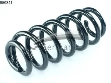 Фото 1 — Пружина CS Germany (14.950.841) Фото Пружина CS Germany (14.950.841) зображення 1