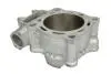 Циліндр (250 см³, 4T) HONDA CRF 250 2004-2017 CYLINDER WORKS (10001) зображення 2