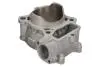 Циліндр (150 см³, 4T) HONDA CRF 150 2007-2023 CYLINDER WORKS (10004) зображення 1