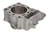 Циліндр (150 см³, 4T) HONDA CRF 150 2007-2023 CYLINDER WORKS (10004) зображення 2