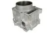 Циліндр (686 см³, 4T) YAMAHA YFM 700 2006-2022 CYLINDER WORKS (20004) зображення 1