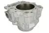 Циліндр (686 см³, 4T) YAMAHA YFM 700 2006-2022 CYLINDER WORKS (20004) зображення 2
