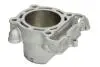 Циліндр (249 см³, 4T) KAWASAKI KX SUZUKI RM-Z 250 2004-2008 CYLINDER WORKS (30001CW) зображення 2