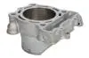 Циліндр (249 см³, 4T) KAWASAKI KX 250 2009-2009 CYLINDER WORKS (30004) зображення 2