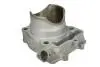 Циліндр (249 см³, 4T) KAWASAKI KX 250 2010-2010 CYLINDER WORKS (30005) зображення 1