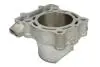 Циліндр (249 см³, 4T) KAWASAKI KX 250 2010-2010 CYLINDER WORKS (30005) зображення 2