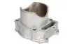 Циліндр (449 см³, 4T) SUZUKI LT-R 450 2006-2009 CYLINDER WORKS (40002) зображення 1
