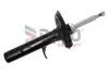 Амортизатор (передній) BMW X3 (E83) 2.0-3.0D 03-11 (L) (тиск газу) (B4) DACO Germany (450302L) зображення 1