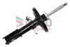 Амортизатор DACO Germany (453013) изображение 1