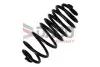 Sprкїyna zaw. * RENAULT KANGOO/GRAND KANGOO 08- Tyі DACO Germany (813006) изображение 1
