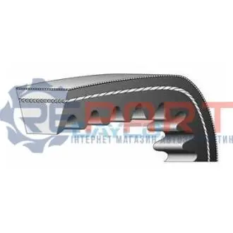 Клиновый ремень DAYCO 10A0545C Купить в Украине