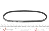 Фото Ремінь генератора Opel Omega A/Vectra A 2.0-3.0 86-95/Ford Fiesta 1.0-1.1 76-95 (10x813) DAYCO (10A0810C) зображення 2