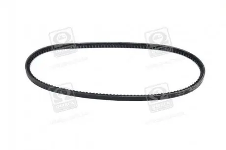 Фото 1 — Ремінь генератора VW Jetta/Seat Toledo/Ford Transit 1.6-2.0 77-99 (10x865) DAYCO (10A0865C) Фото Ремінь генератора VW Jetta/Seat Toledo/Ford Transit 1.6-2.0 77-99 (10x865) DAYCO (10A0865C) зображення 1