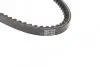 Фото Ремінь генератора Nissan Terrano 2.4 93-07/BMW 3 (E30) 1.6/1.8 82-9/Audi 80 1.6/2.0 75-96 (10x905) DAYCO (10A0905C) зображення 2