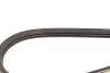 Фото Поліклиновий ремінь RENAULT CLIO II, KANGOO, KANGOO EXPRESS 1.4/1.5D/1.6 08.97 DAYCO (3PK1040) зображення 4