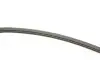 Фото Поліклиновий ремінь CHEVROLET MATIZ, SPARK DAEWOO MATIZ FIAT BRAVA, BRAVO I, MAREA, MULTIPLA, PALIO, SIENA HYUNDAI ELANTRA III, MATRIX LANCIA DEDRA, DELTA II, LYBRA 0.8-1.8 10.95 DAYCO (3PK668) зображення 3
