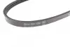 Фото Ремень генератора поликлиновый DAYCO (3PK680) изображение 3