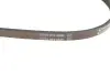 Ремень поликлиновый DAYCO (3PK700) изображение 4