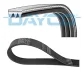 PASEK WIELOROWKOWY 3PK796 DAYCO (3PK796EE) зображення 1