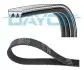 Фото Поликлиновой ремень DAYCO (3PK863EE) изображение 1