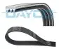 Фото Поліклиновий ремінь FIAT PUNTO 1.2 10.93-09.99 DAYCO (3PK938) зображення 1