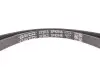 Фото Поліклиновий ремінь CITROEN JUMPER I PEUGEOT BOXER 2.5D 03.94-04.02 DAYCO (3PK946) зображення 4
