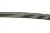 Фото Поліклиновий ремінь AUDI A4 B5, A6 C5, A8 D2, ALLROAD C5 CITROEN BX RENAULT CLIO II, KANGOO, KANGOO EXPRESS SKODA SUPERB I TOYOTA LAND CRUISER 100 VW PASSAT B5 1.4-4.2D 10.82 DAYCO (4PK1238) зображення 2