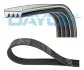 Ремінь генератора Ford Galaxy/Mondeo 2.0 EcoBoost 14 DAYCO (4PK1366EEHD) зображення 1