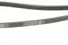 Фото Поліклиновий ремінь FORD TRANSIT, TRANSIT TOURNEO 2.4D/2.5D 05.91-12.00 DAYCO (4PK1488) зображення 6